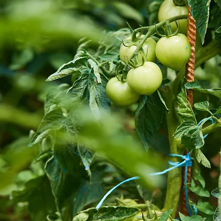 Beloc House Island *