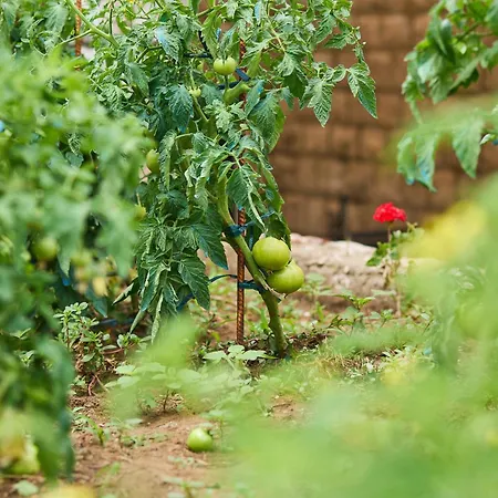 公寓 Beloc House Island 洛帕德