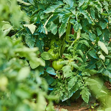 Beloc House Island 公寓 *