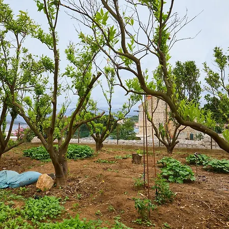 Apartment Beloc House Island Lopud
